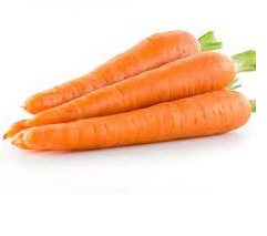 Fresh Carrot