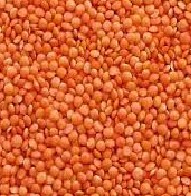 Masoor Dal 1kg