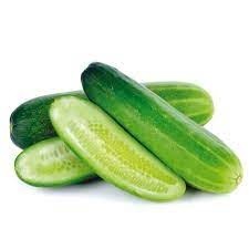 Cucumber or Kheera