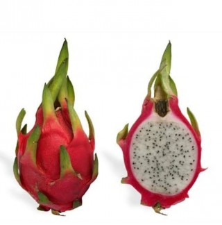 Fresh Dragon Fruit