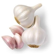 Fresh Garlic