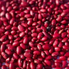 Red  Rajma